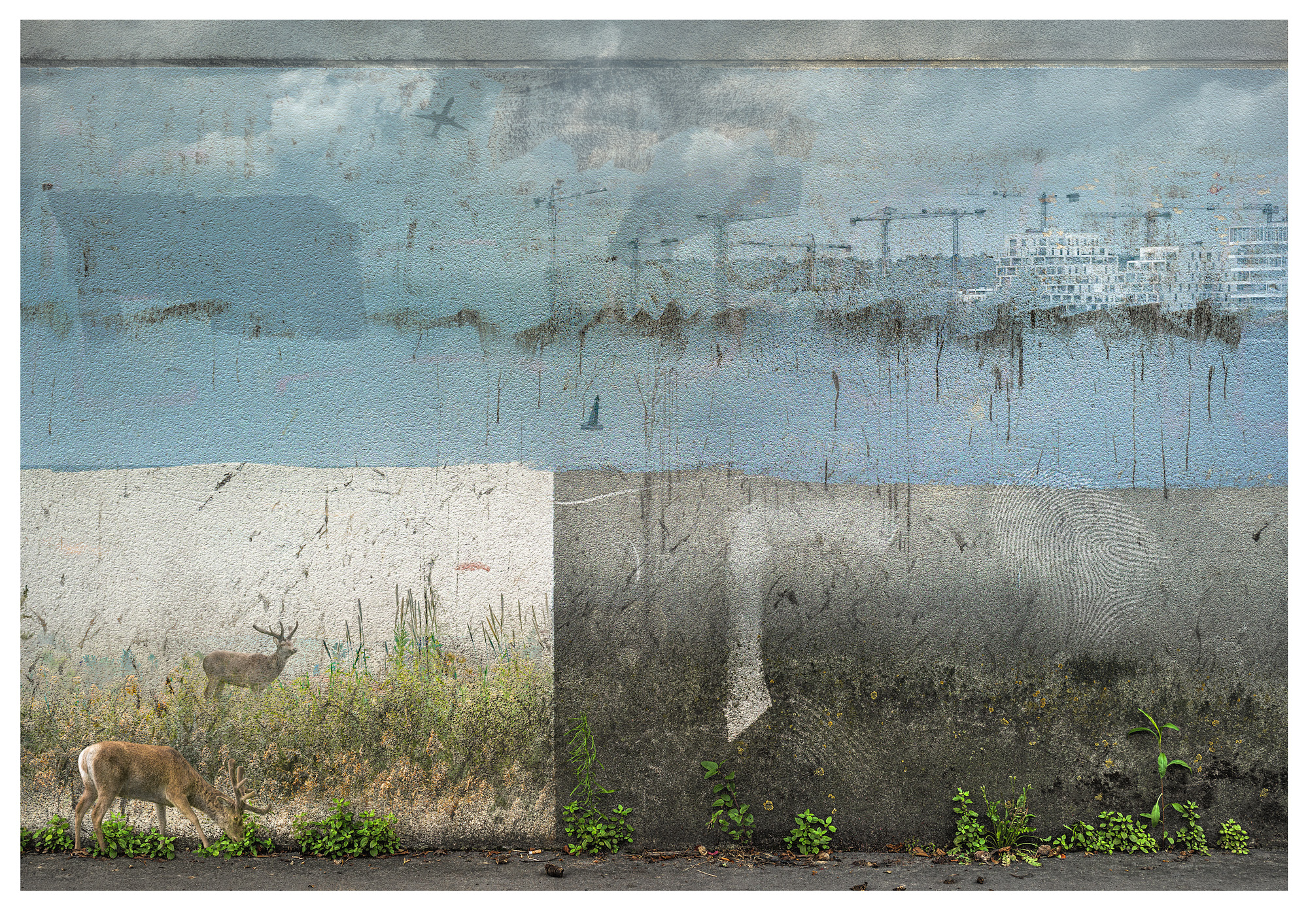 Composite photograph of weathered lichen covered wall showing a distant skyscaper city. On bottom of the fram blue wave attack the shoreline. To the left red and white flowers show partial swampimg in the sea water